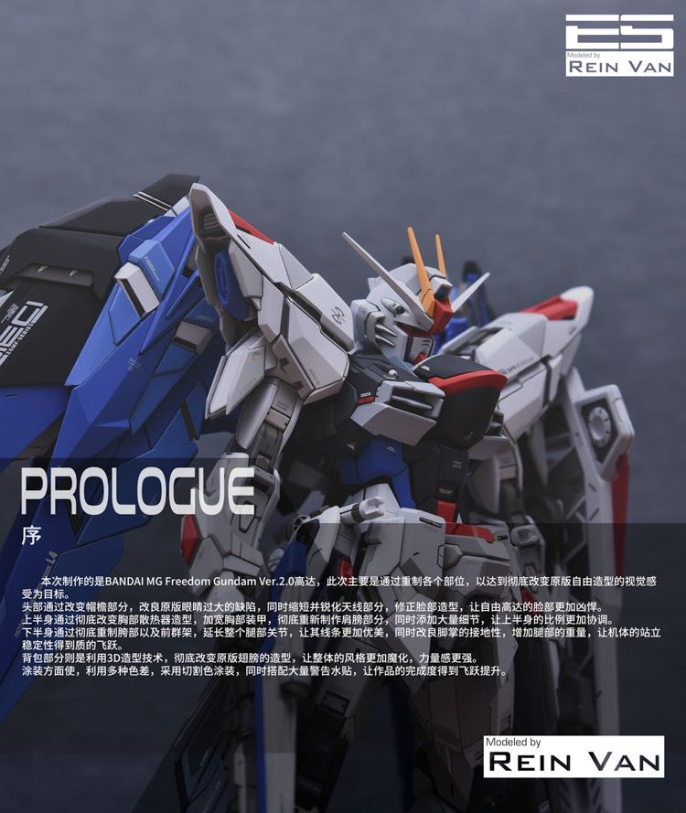 Infinite_Dimension 1/100 Freedom Gundam ver.2.0 Conversion Kit (Refined)