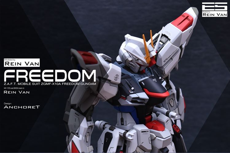 Infinite_Dimension 1:100 Freedom Gundam Conversion Kit
