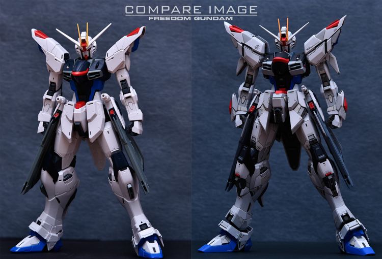 Infinite Dimension 1100 Freedom Gundam Conversion Kit 29