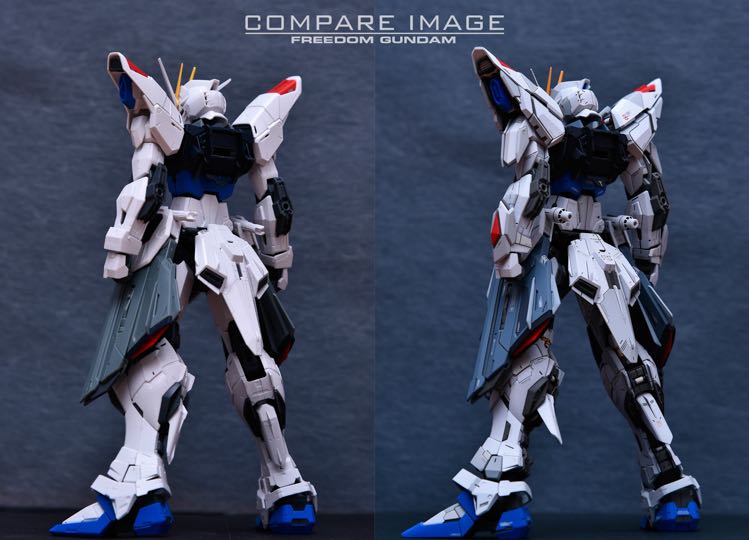 Infinite_Dimension 1:100 Freedom Gundam Conversion Kit