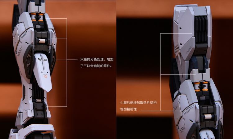 Infinite_Dimension 1:100 Freedom Gundam Conversion Kit