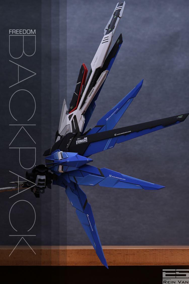 Infinite Dimension 1100 Freedom Gundam Conversion Kit 54