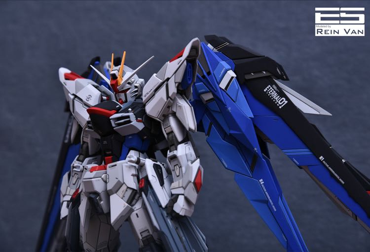 Infinite_Dimension 1:100 Freedom Gundam Conversion Kit