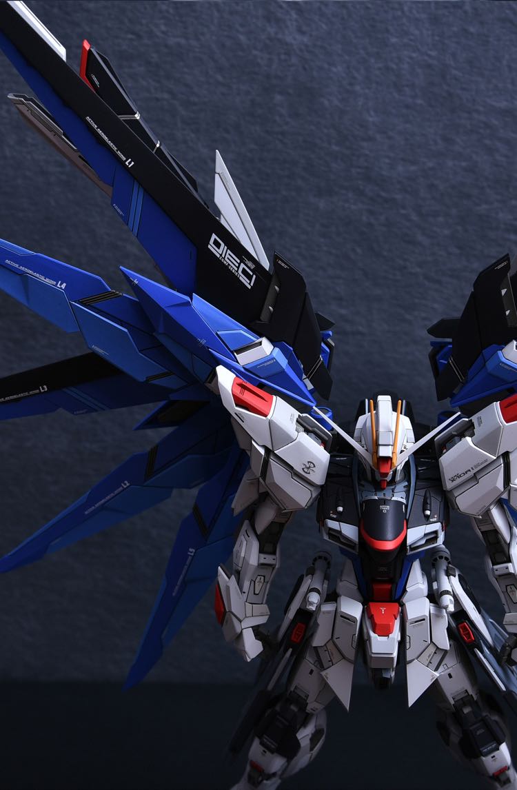 Infinite_Dimension 1:100 Freedom Gundam Conversion Kit