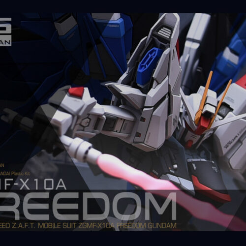 Infinite_Dimension 1:100 Freedom Gundam Conversion Kit