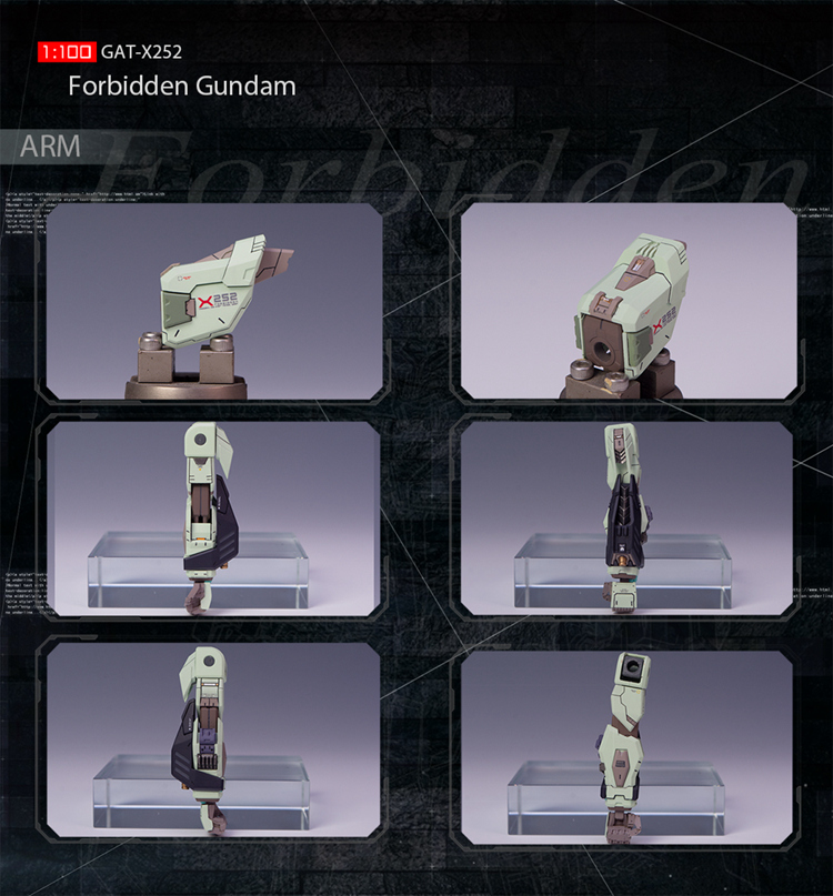 Artisan Club 1:100 Forbidden Gundam Conversion Kit