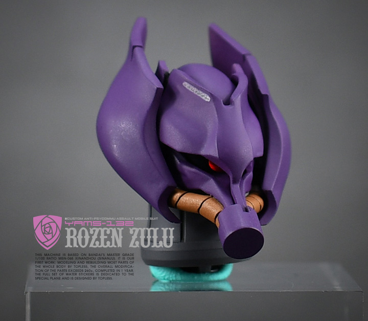 TopLess 1:100 Rozen Zulu Conversion Kit