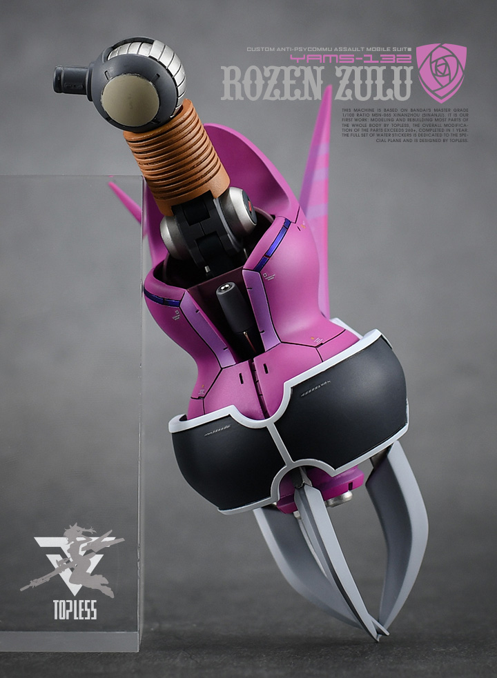 TopLess 1:100 Rozen Zulu Conversion Kit