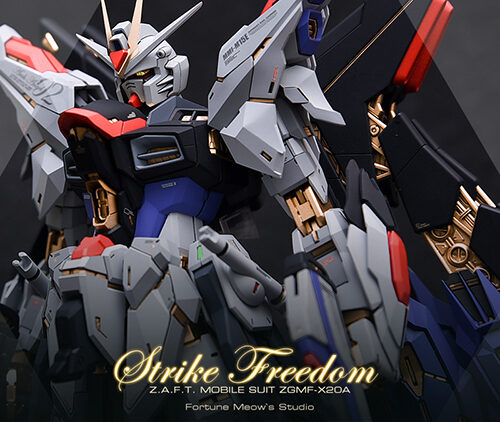 Fortune Meow's 1:100 Strike Freedom Gundam Conversion Kit