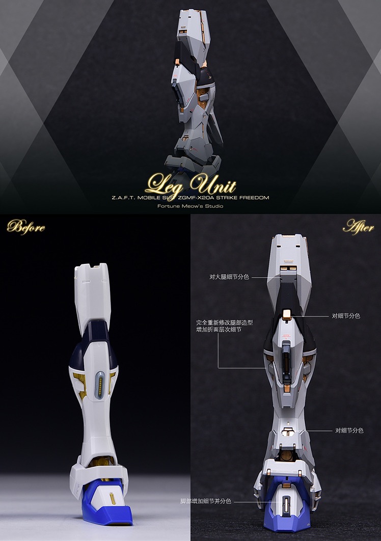 Fortune Meow's 1:100 Strike Freedom Gundam Conversion Kit