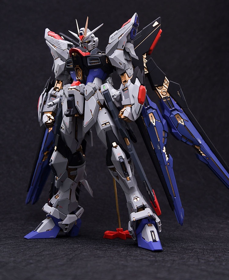 Fortune Meow's 1:100 Strike Freedom Gundam Conversion Kit