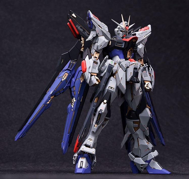 Fortune Meow's 1:100 Strike Freedom Gundam Conversion Kit