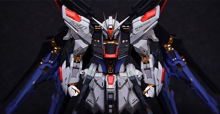 Fortune Meow's 1:100 Strike Freedom Gundam Conversion Kit