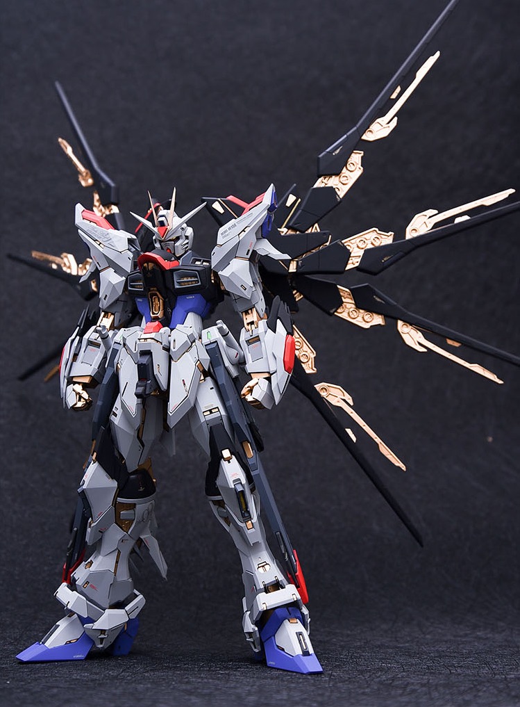 Fortune Meow's 1:100 Strike Freedom Gundam Conversion Kit
