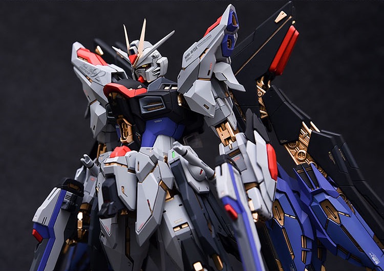 Fortune Meow's 1:100 Strike Freedom Gundam Conversion Kit