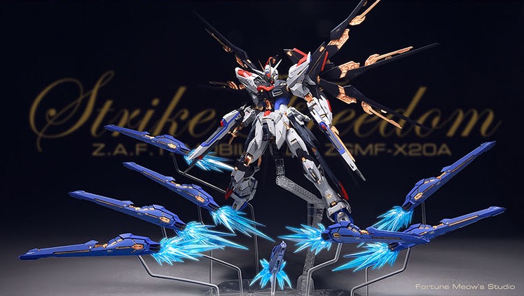 Fortune Meow's 1:100 Strike Freedom Gundam Conversion Kit