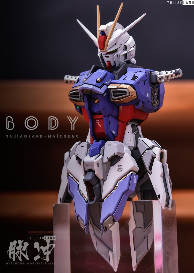 YJL MG Force Impulse Gundam Conversion Kit