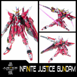 AC Studio MG Infinite Justice Gundam Conversion Kit
