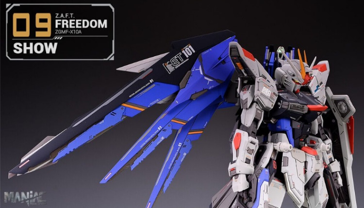 Maniac Studio 1/100 Freedom Gundam Conversion Kit (Reissue)