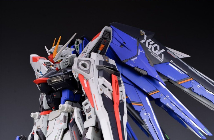 Maniac Studio 1/100 Freedom Gundam Conversion Kit (Reissue)