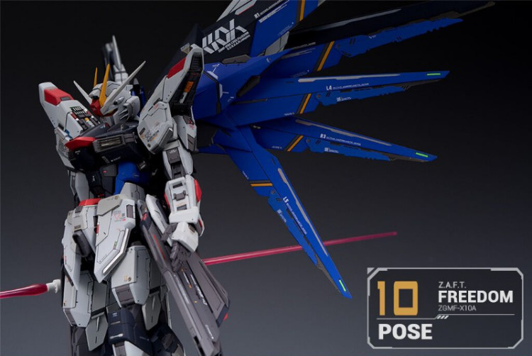 Maniac Studio 1/100 Freedom Gundam Conversion Kit (Reissue)