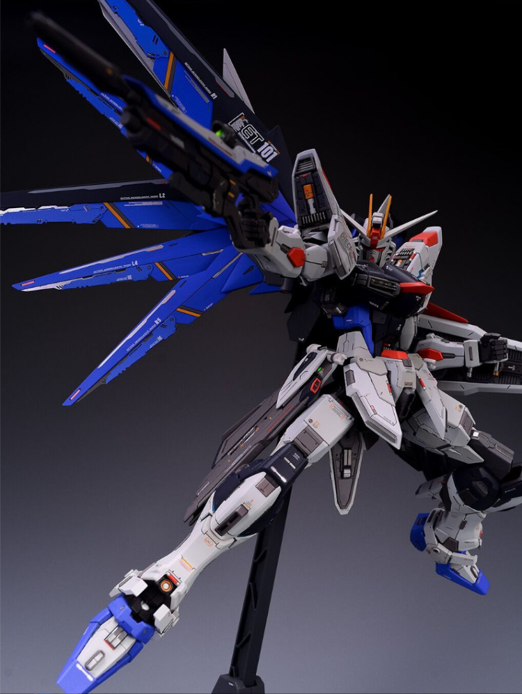 Maniac Studio 1/100 Freedom Gundam Conversion Kit (Reissue)