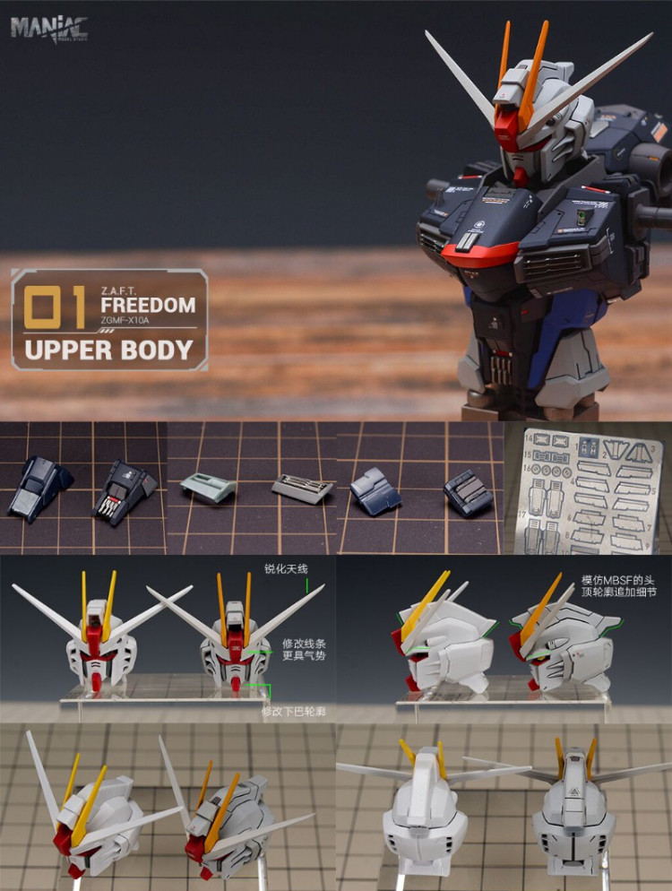 Maniac Studio 1/100 Freedom Gundam Conversion Kit (Reissue)