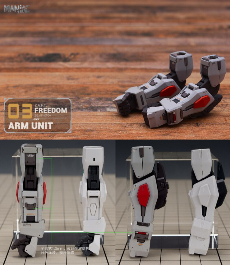 Maniac Studio 1/100 Freedom Gundam Conversion Kit (Reissue)