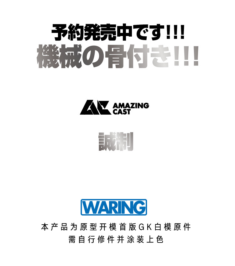 AC Studio 1-100 ZGMF-X666S Legend Gundam Full Conversion Ki
