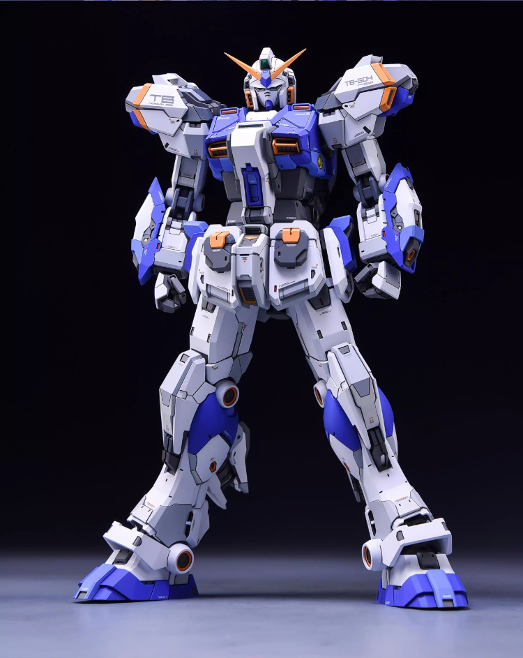 Fortune Meow's 1/100 Gundam G04 Conversion Kit